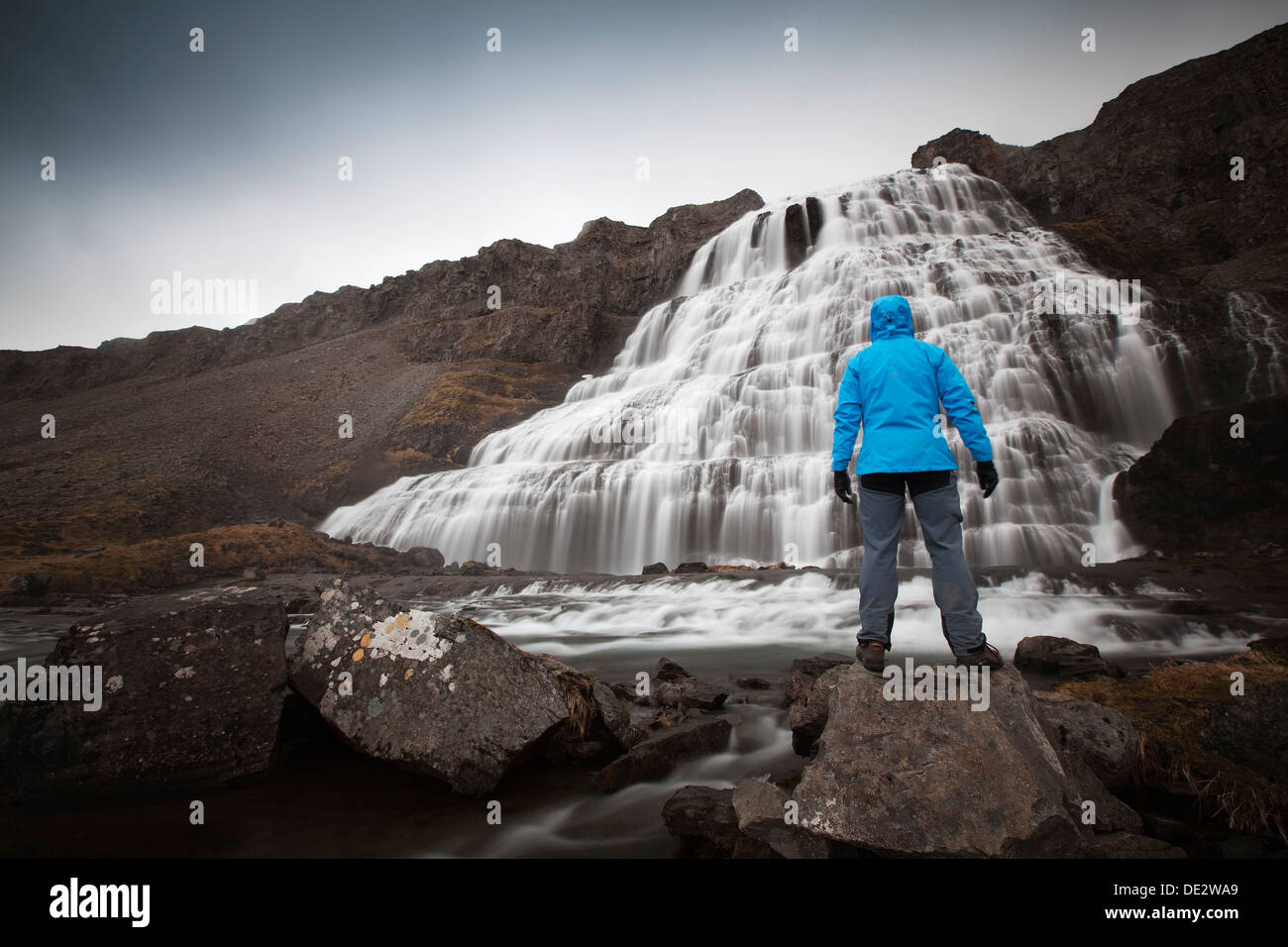 Wanderer vor Der dynjandi Wasserfall, fjallfoss, Westfjorde, Island, Europa Stockfoto