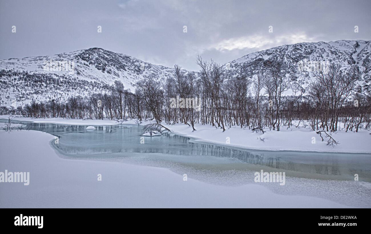 Bach im Winter, Norwegen, Europa Stockfoto