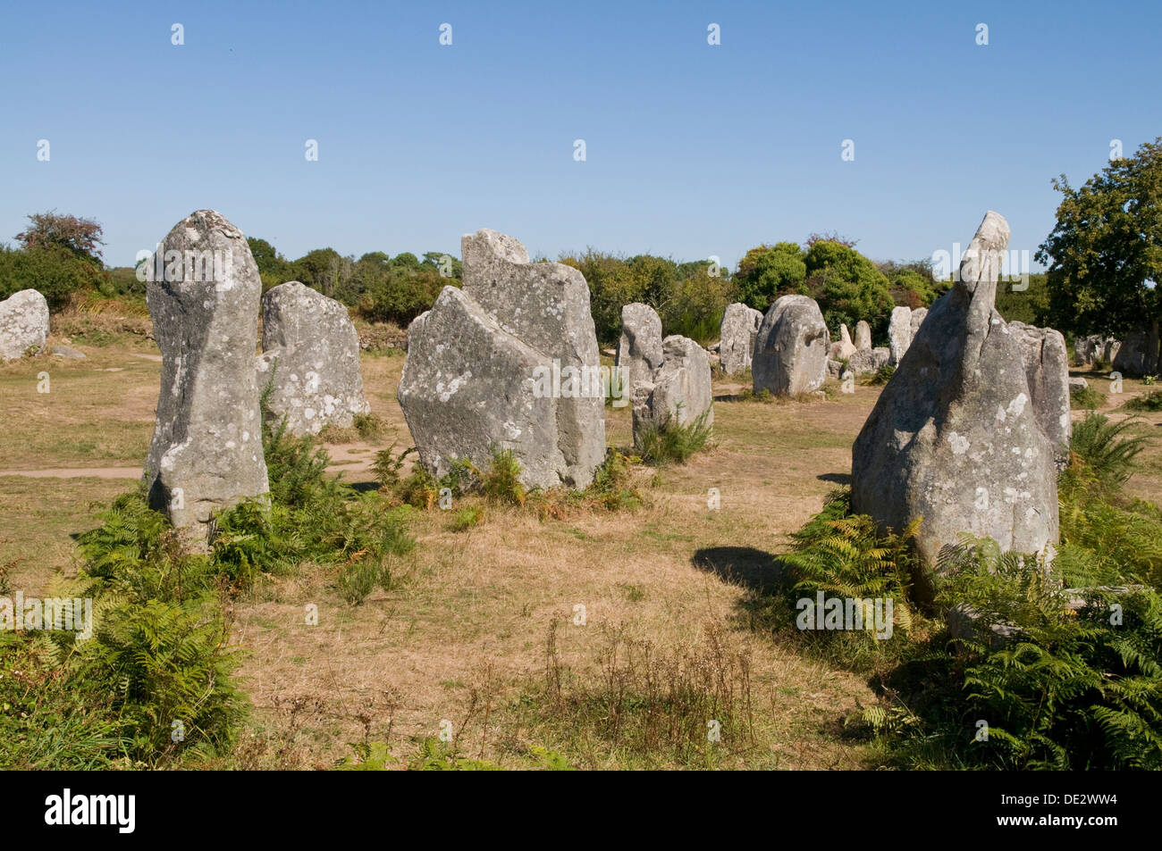 Megalithen von Carnac, Bretagne, Frankreich Stockfoto