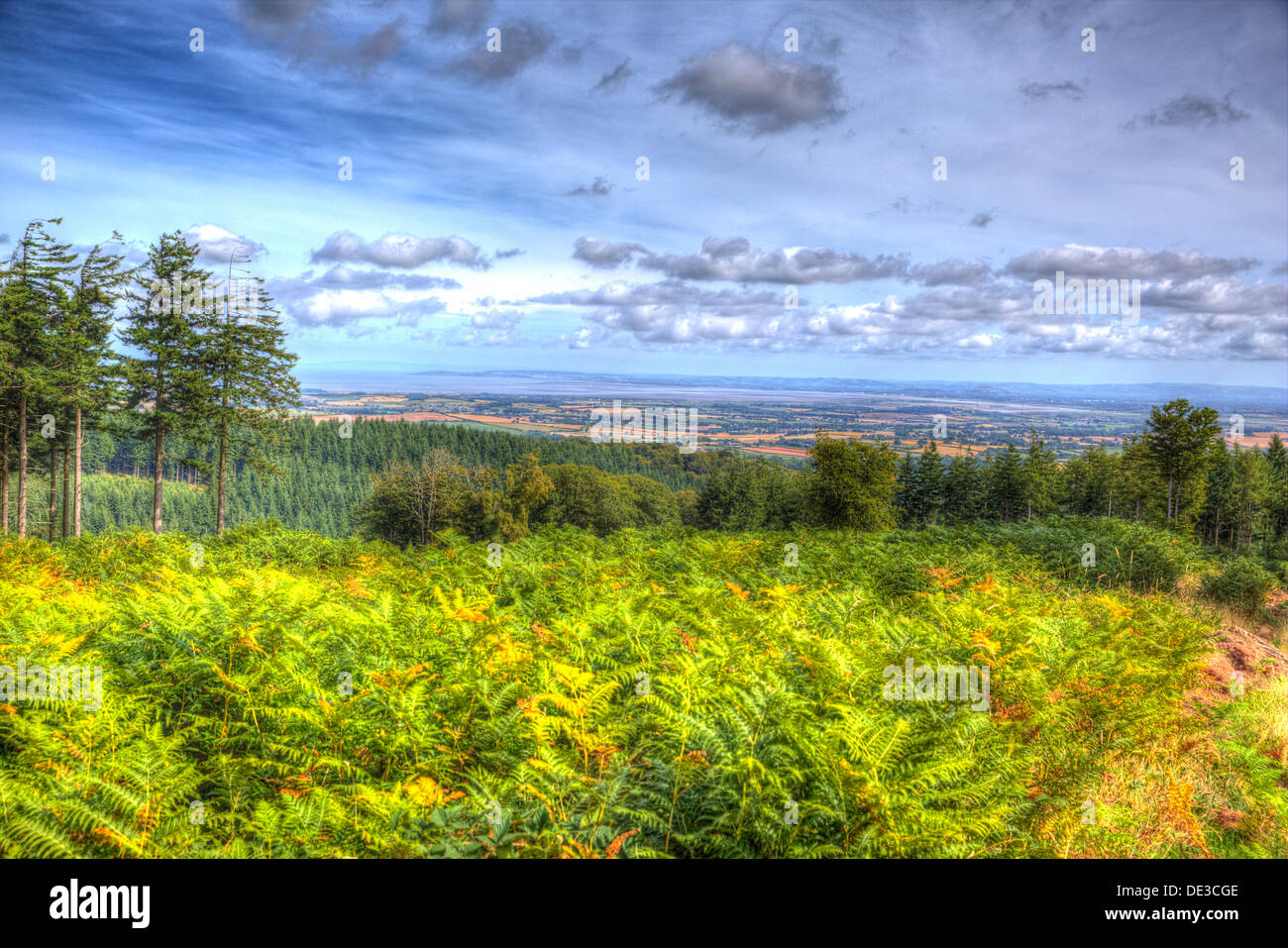 Blick vom Quantocks Somerset England Blick in Richtung Bristol Channel in markanten Farben mit HDR und Wolkengebilde Stockfoto