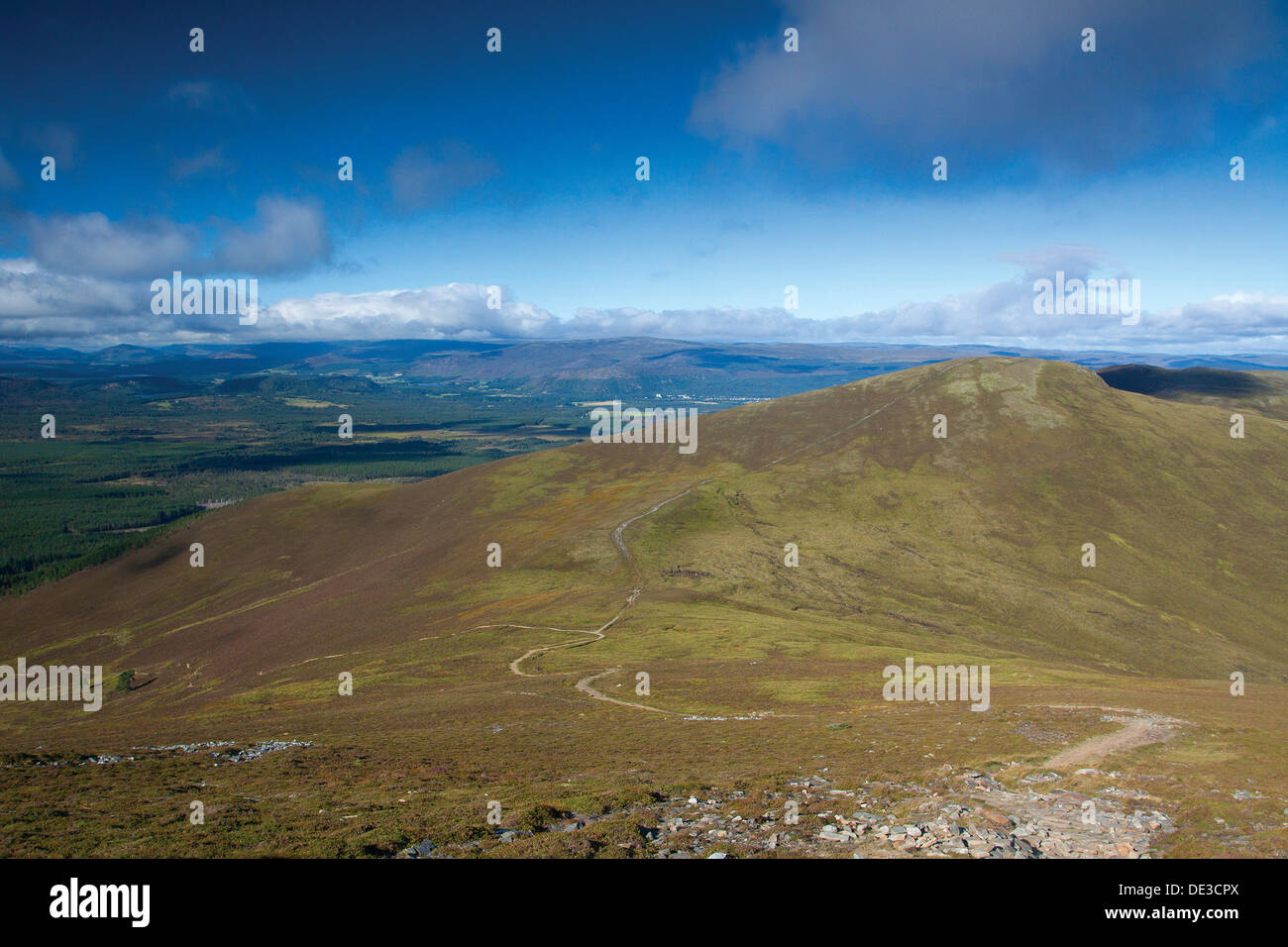 Creagan Gorm aus Meall ein Bhuachaille Cairngorm National Park Stockfoto