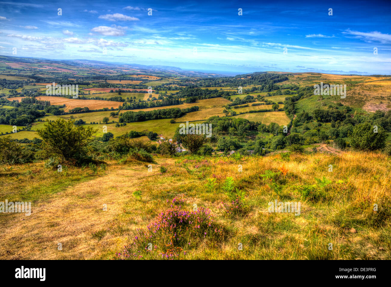 Blick auf grüne Felder aus der Quantock Hills Somerset mit blauem Himmel in auffälligem HDR Stockfoto
