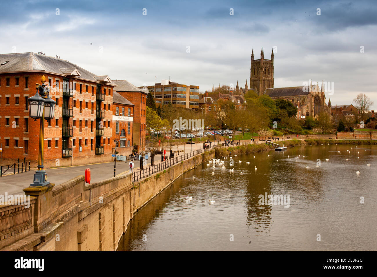 Worcester Cathedral und den Fluss Severn aus der Stadt zu überbrücken, Worcester, England, UK Stockfoto