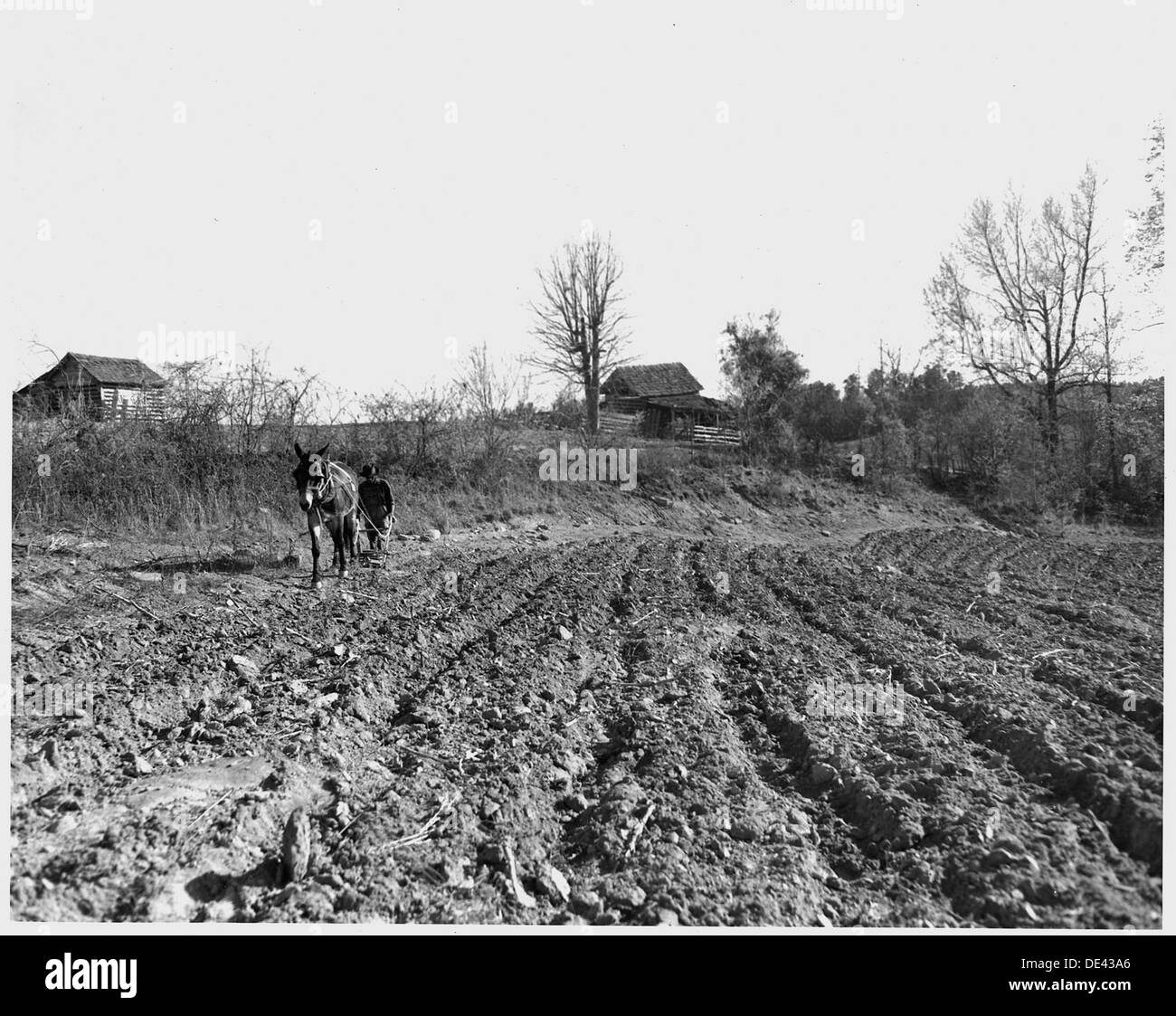 Newberry County, South Carolina. Blick vom Bauernhof von Dan Clark, Whitmire, Route 2, South Carolina, in... 522800 Stockfoto