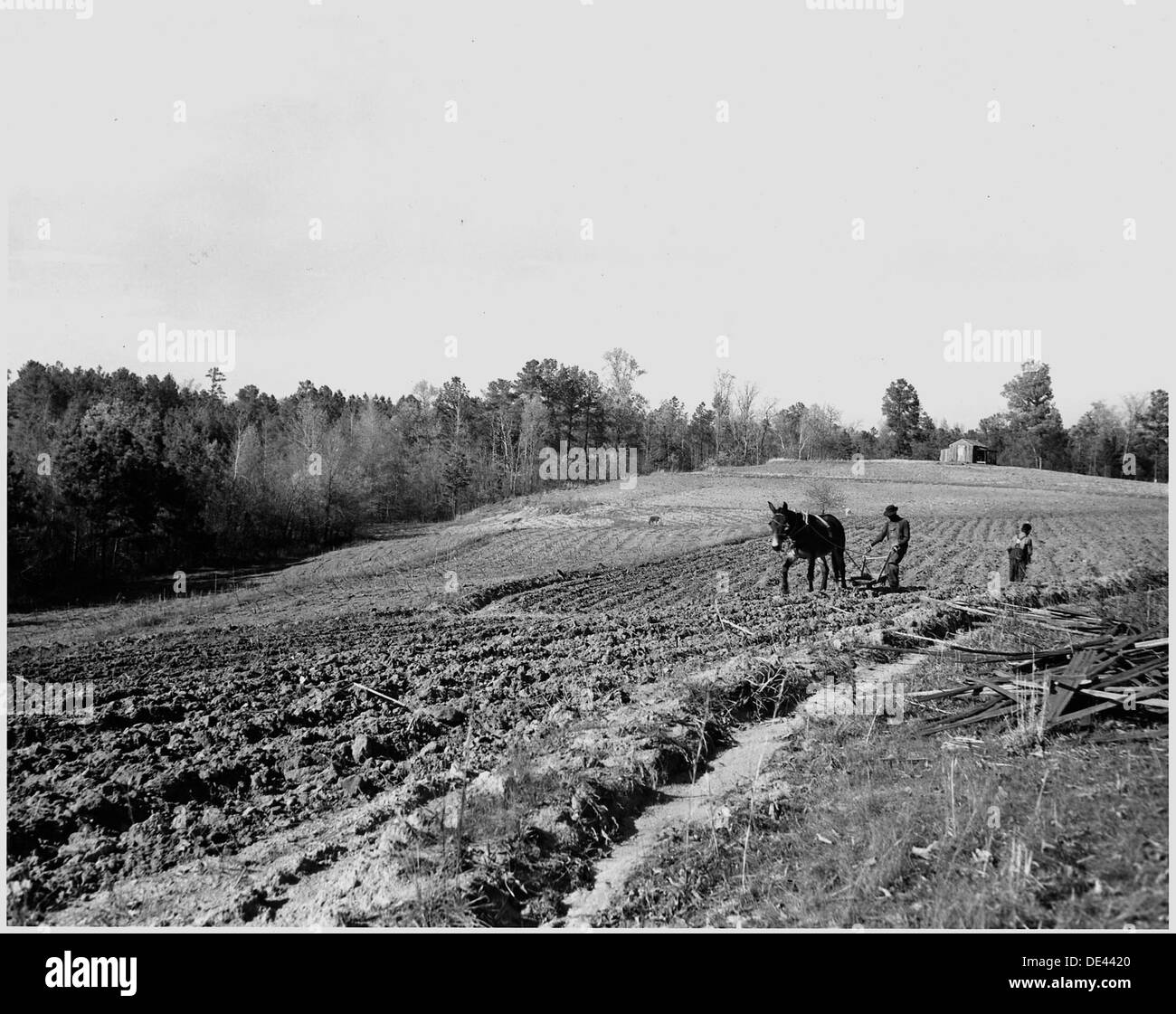 Newberry County, South Carolina. Blick vom Bauernhof von Dan Clark, Whitmire, Route 2, South Carolina, in... 522761 Stockfoto