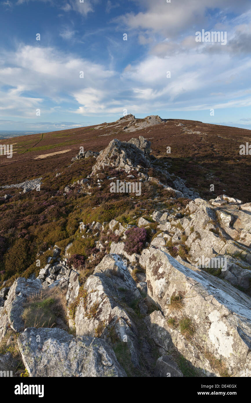 Die Stiperstones in Shropshire, England Stockfoto