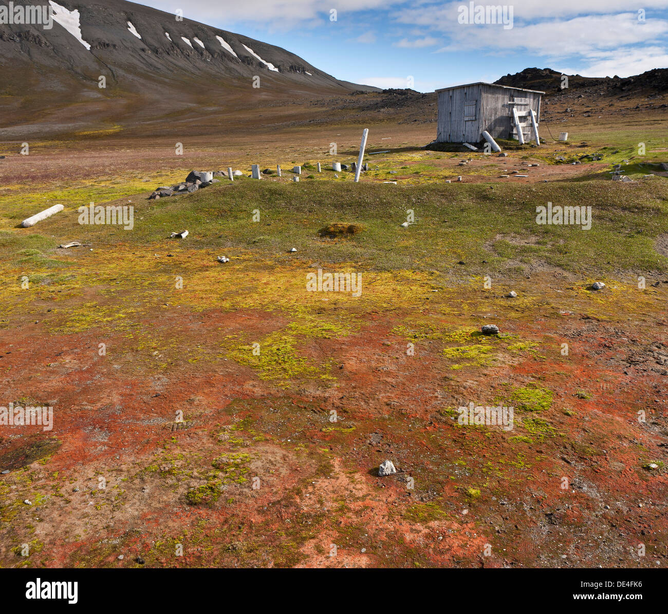 Arktische Tundra mit Moos und alte hölzerne Hütte, Spitzbergen, Svalbard, Norwegen Stockfoto
