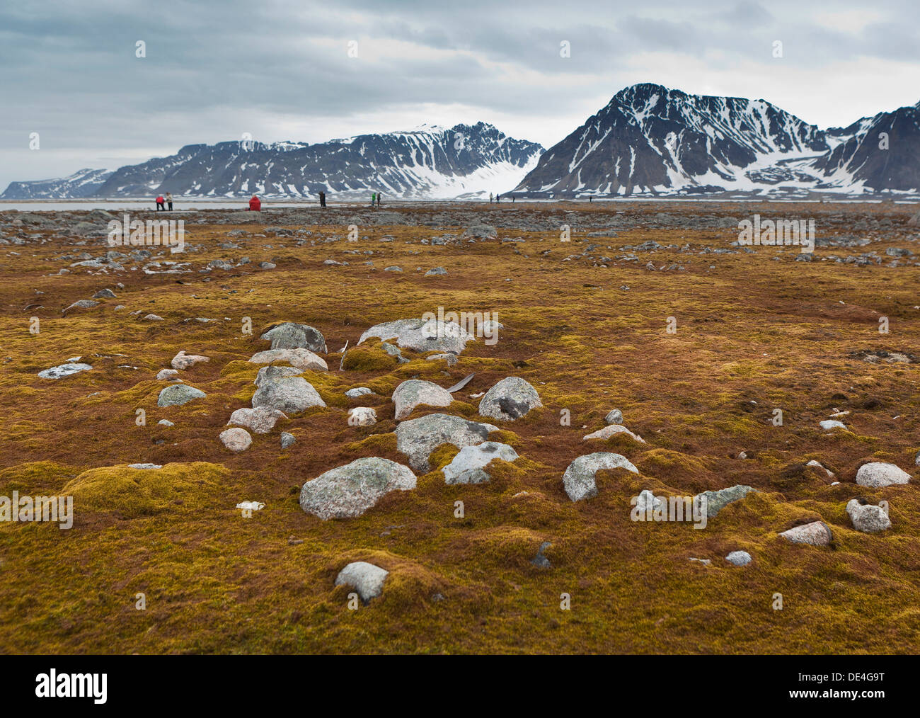 Moos bedeckt Meeresküste, Smeerenburg, Spitzbergen-Island, Spitzbergen, Norwegen Stockfoto