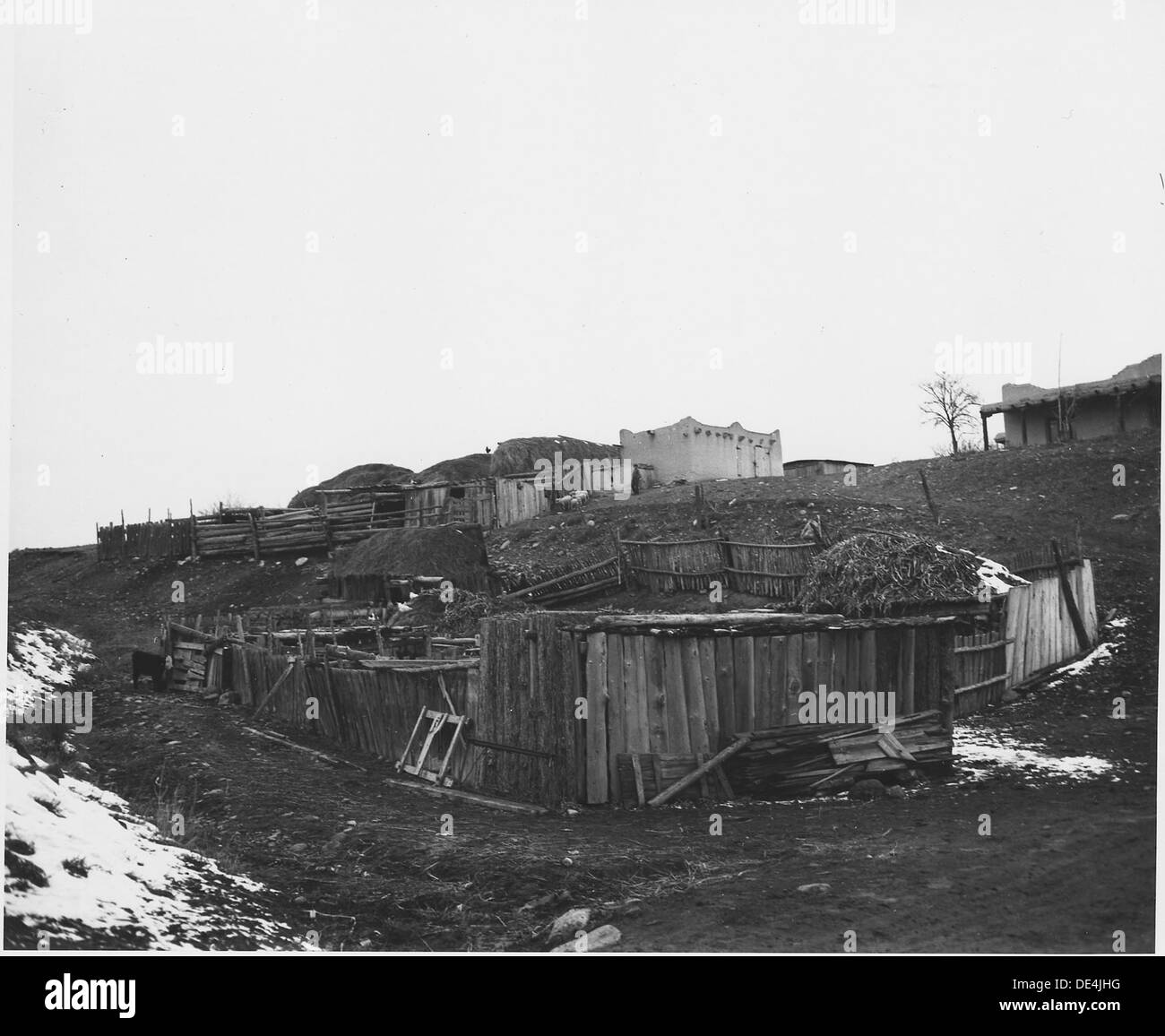 Taos County, New Mexico. Korallen in Llano Quemado 521908 Stockfoto