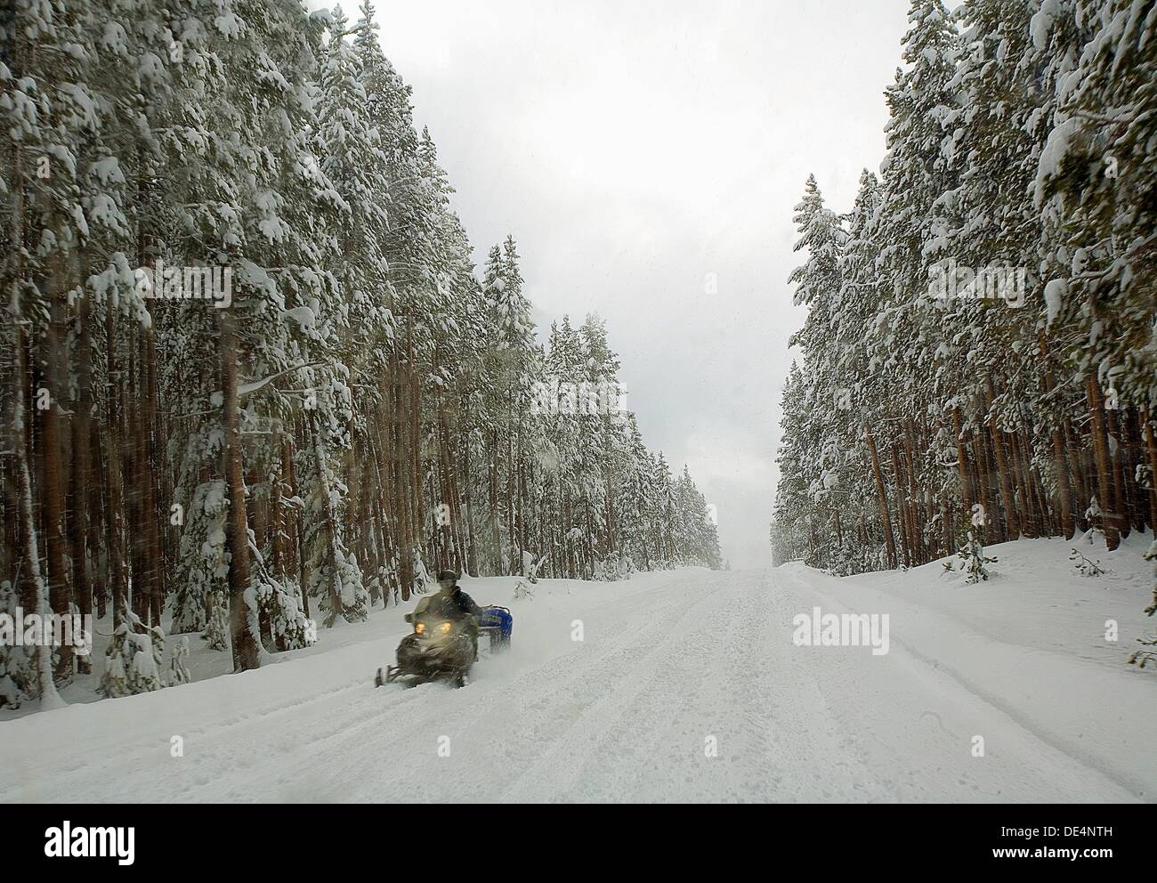 Ein Snowmobiler fährt durch den Yellowstone National Park an einem Wintertag in Wyoming Stockfoto