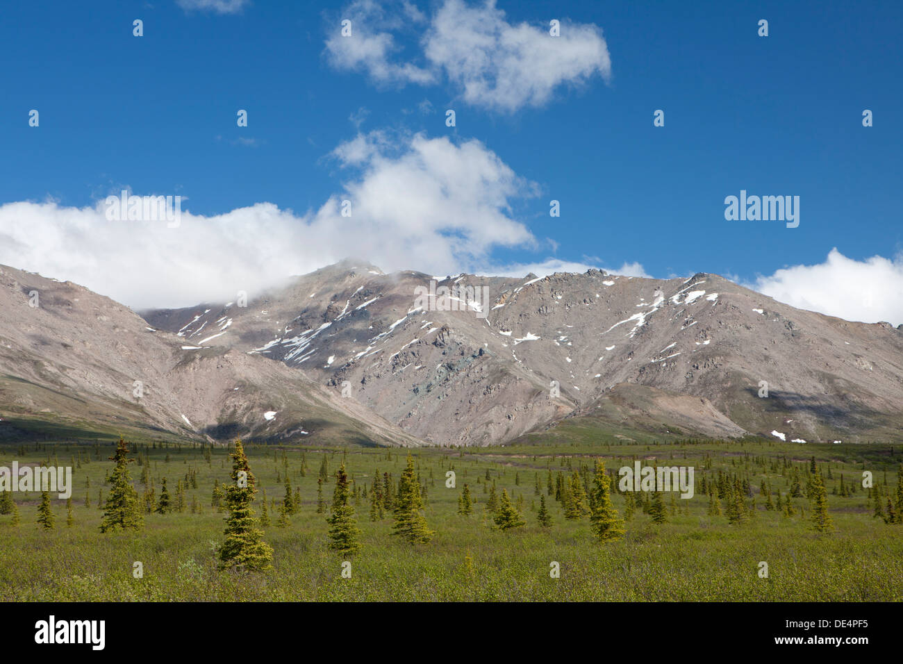 Denali Nationalpark und Reservat, Alaska, Vereinigte Staaten von Amerika Stockfoto