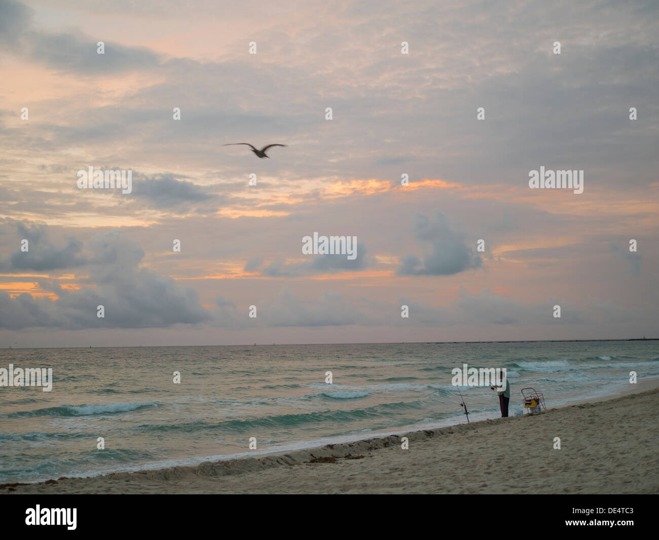 Am frühen Morgen Angeln. Miami Beach. Florida. USA Stockfoto