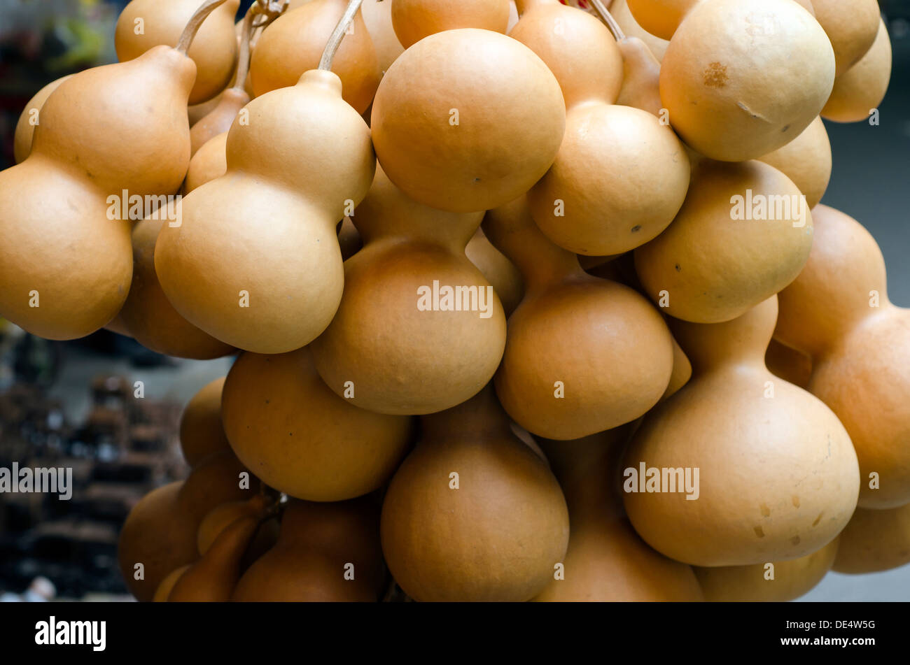 Trockenen Kürbis (Kürbis) zum Verkauf, Markt Guangzhou, China Stockfoto