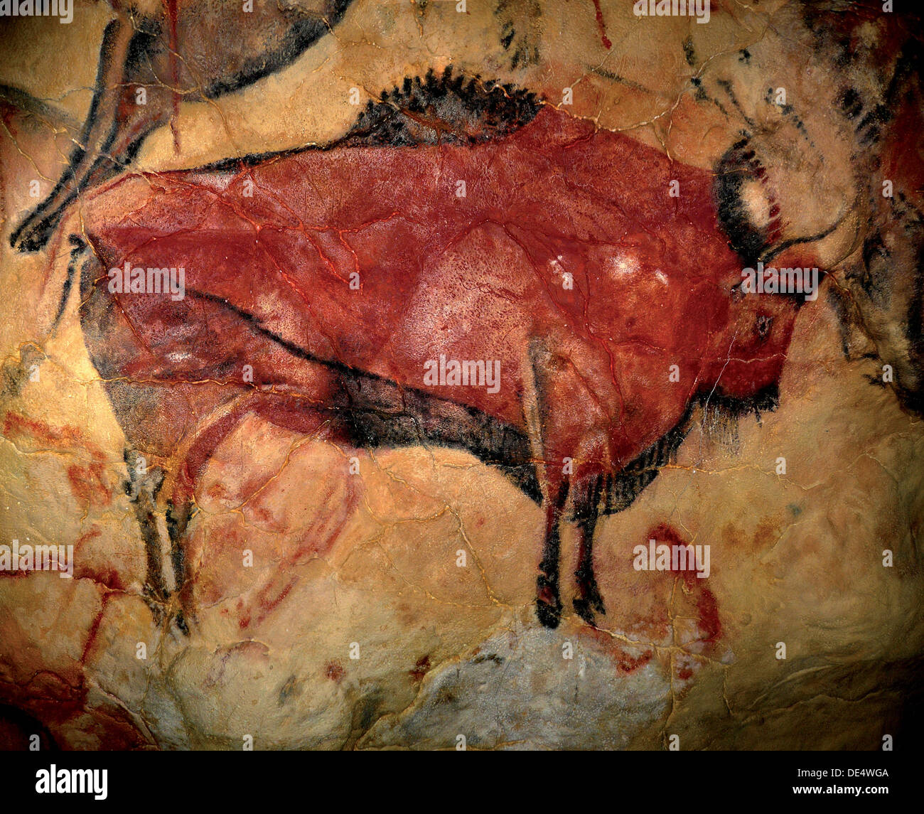 Malerei in der Höhle von Altamira, 35.000 bis 11.000 v. Chr.. Künstler: Art der oberen Altsteinzeit Stockfoto