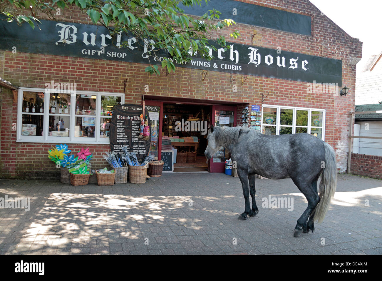 Ein New Forest Pony bummelt vor einem Geschäft in der Ortsmitte von Burley, New Forest, Hampshire, UK. Stockfoto