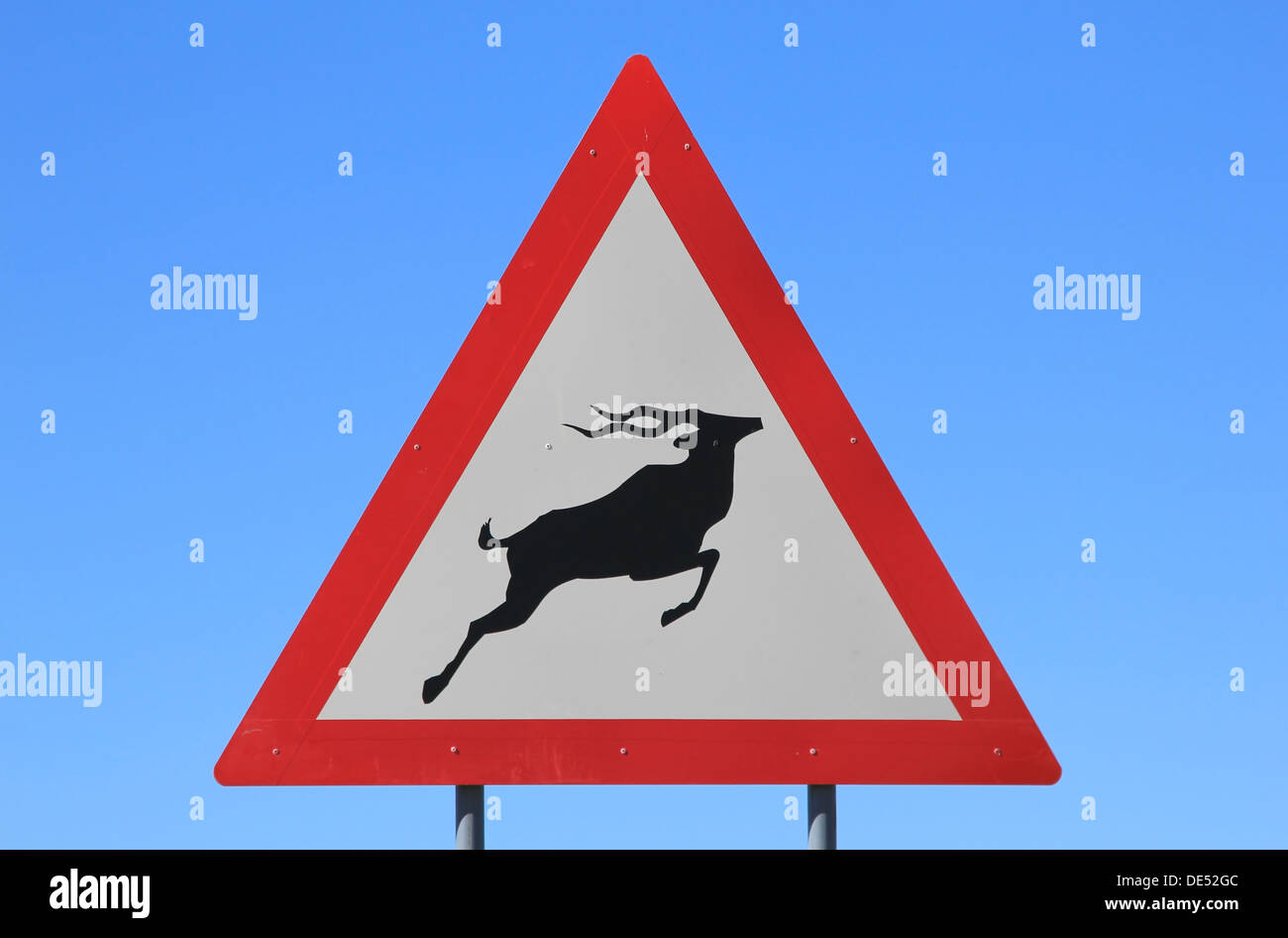 Kudu - eine Straße Warnschild Warnung Fahrer und Verkehrsteilnehmer möglich und unregelmäßige Überfahrten von Tieren.  Vermeidung von Unfällen. Stockfoto