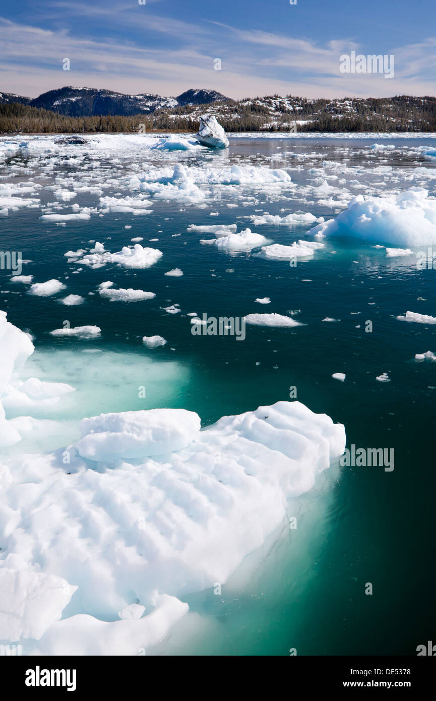 Columbia Gletscher, Prince William Sound, Alaska, Vereinigte Staaten von Amerika Stockfoto