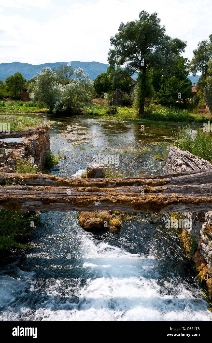 Fluss Gacka bei Mayer Frühling, Majerovo Vrilo, Gacko Polje, Otocac, Lika, zentral-Kroatien Stockfoto