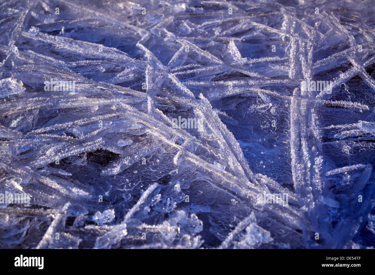 Eiskristalle Stockfoto