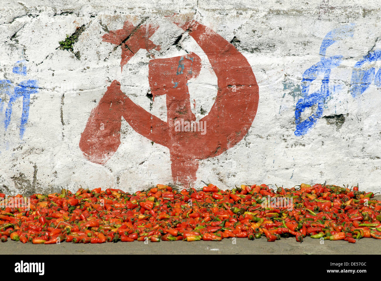 Chili Peppers und Kampagnen für die kommunistische Partei, Munnar, Kerala, Südindien, Indien, Asien Stockfoto