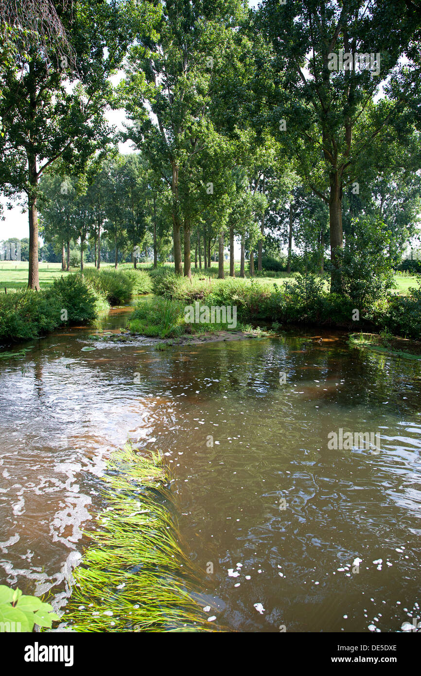 Landschaft in der Nähe von Vierlingsbeek, Nord-Brabant, Niederlande Stockfoto