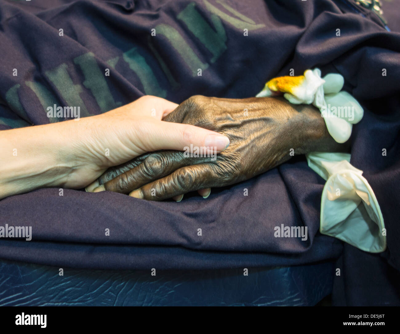 Helfende hand Stockfoto