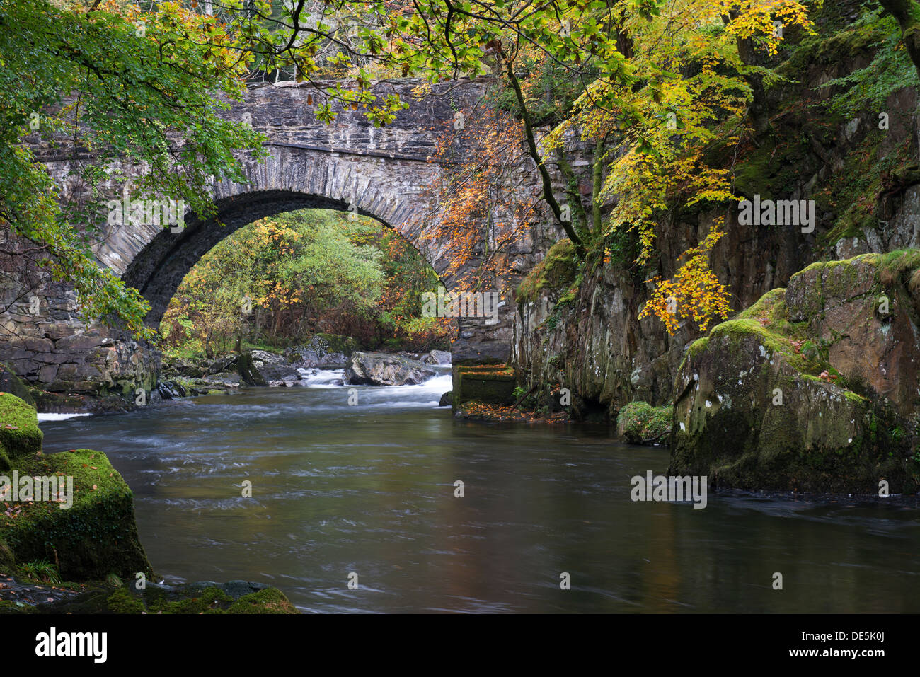 Herbstfarben auf dem Fluß an einer Brücke über die Glaslyn Aber in der Nähe von Beddgelert, Snowdonia Nord-Wales Stockfoto