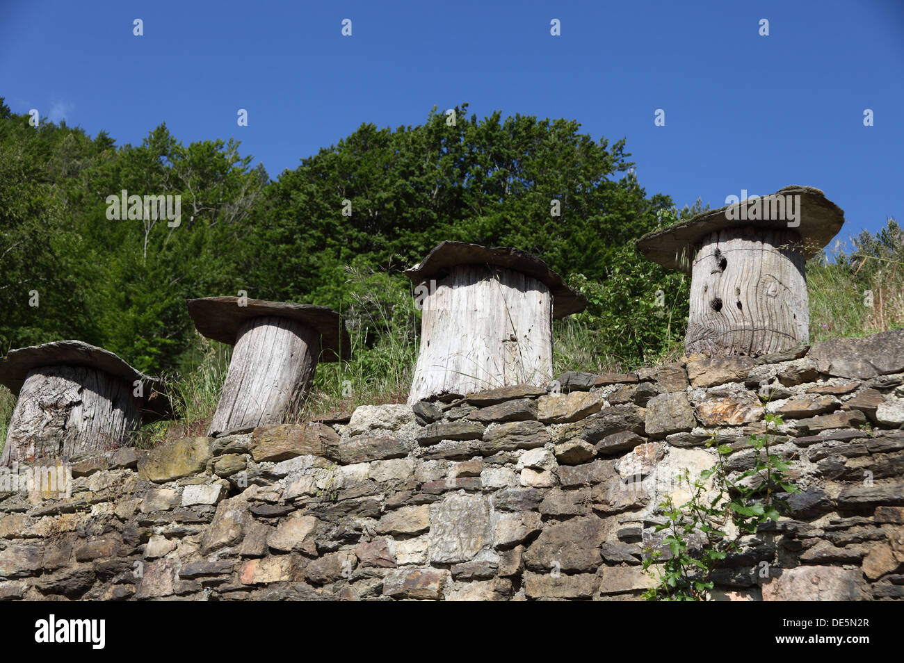 Alten Bienenstöcke aus ausgehöhlten Kastanien Stamm gemacht noch gebräuchlich in den ländlichen Cevennen, Lozere, Frankreich Stockfoto