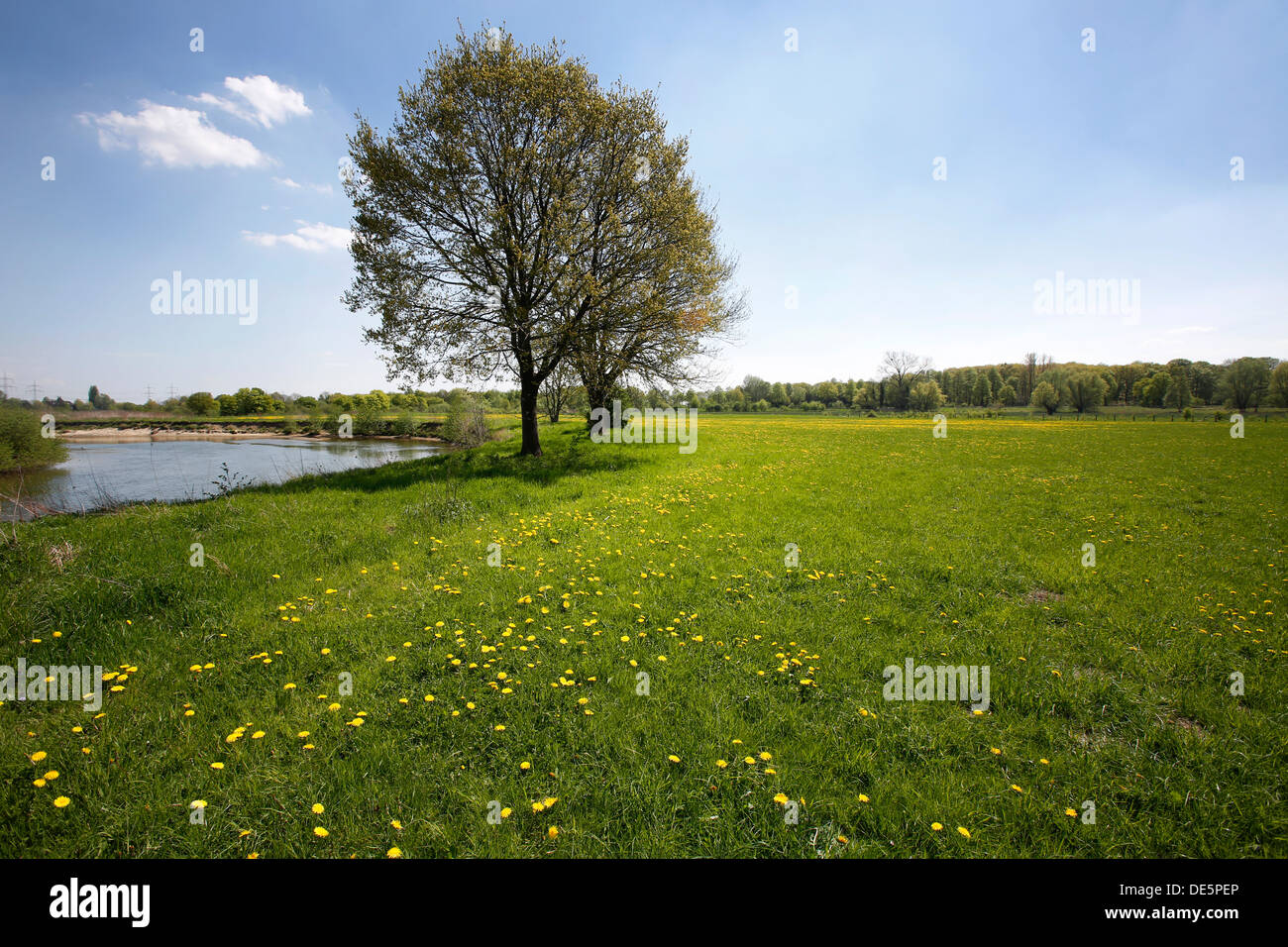 Hamm, Deutschland, Landschaft entlang der Lippeauenpfads Stockfoto
