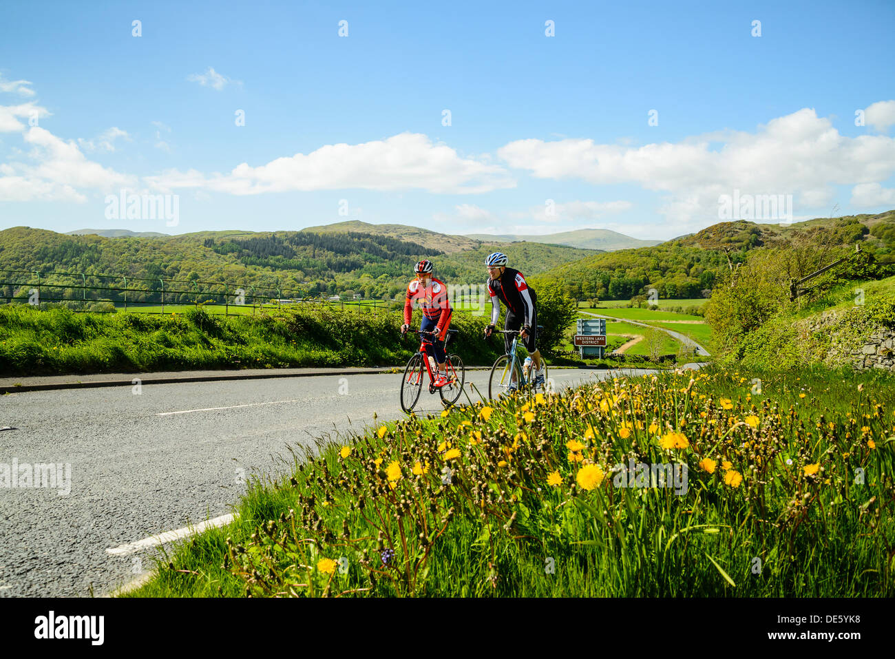 Radfahrer auf die A595 in der Nähe von Broughton-in-Furness im englischen Lake District Stockfoto