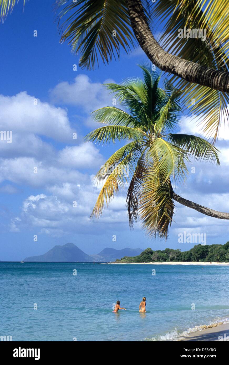 Plage De La Grande Anse des Salines, Sainte-Anne Ile De La Martinique Departement et Region D´Outremer Francais Archipel des Stockfoto