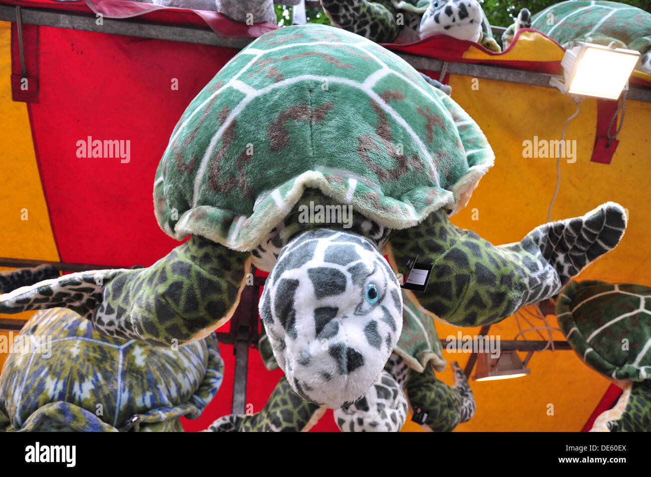 Schildkrote Spielzeug Stockfotos Und Bilder Kaufen Alamy