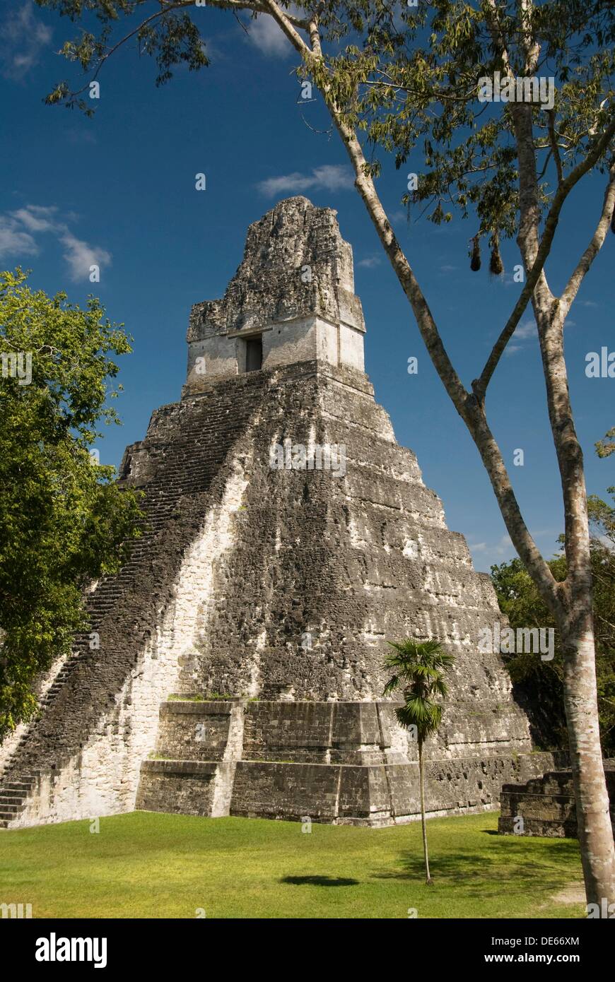 Tempel 1 auch bekannt als der Jaguar Tempel, Tikal National Park, Petén, Guatemala Stockfoto