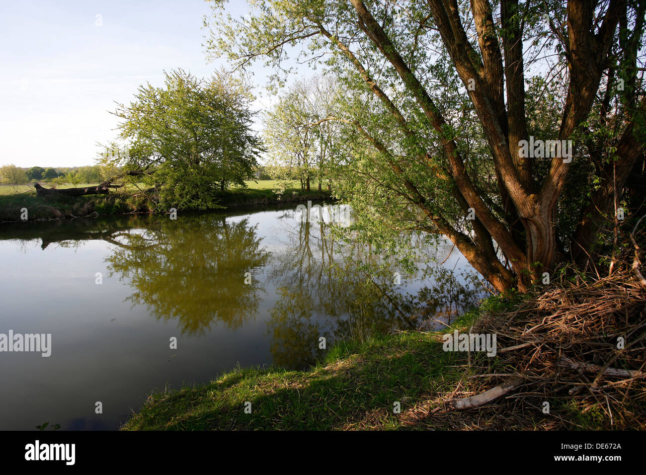Hamm, Deutschland, Lippeaue Life-Projekt Stockfoto