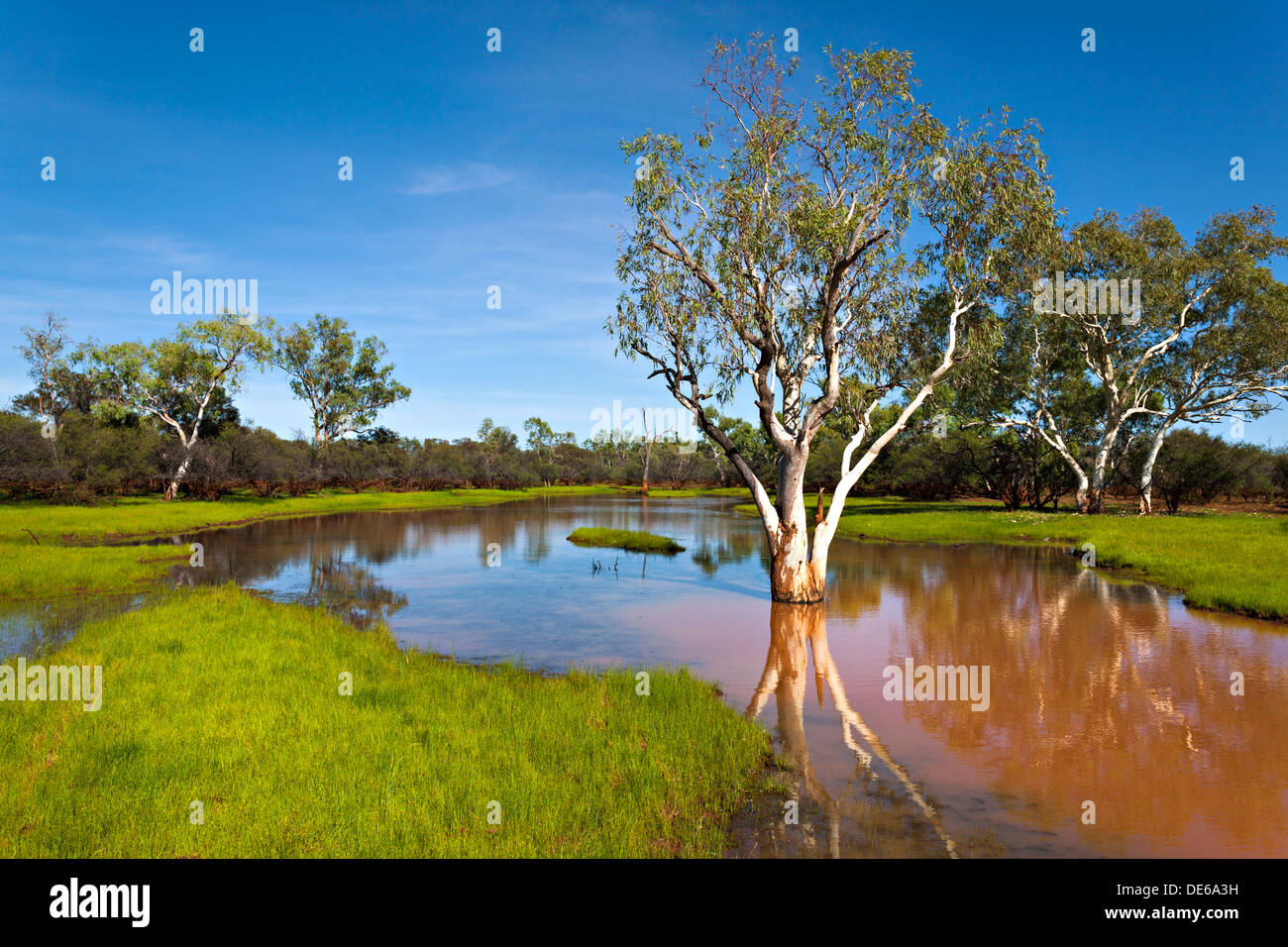 Wasser bedeckt Landschaft nach Starkregen, Pilbara-Region Nordwest Australien Stockfoto