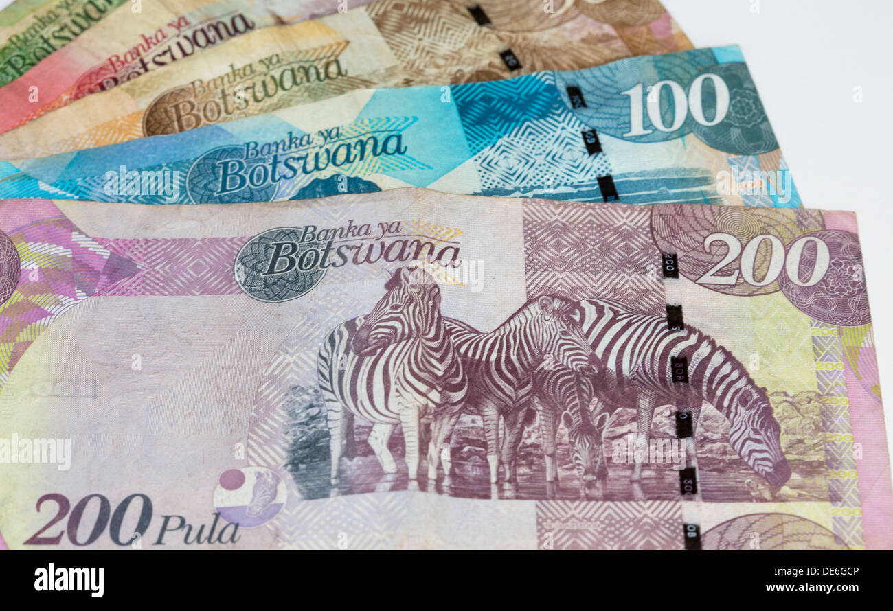 Botswana-Banknoten Stockfoto