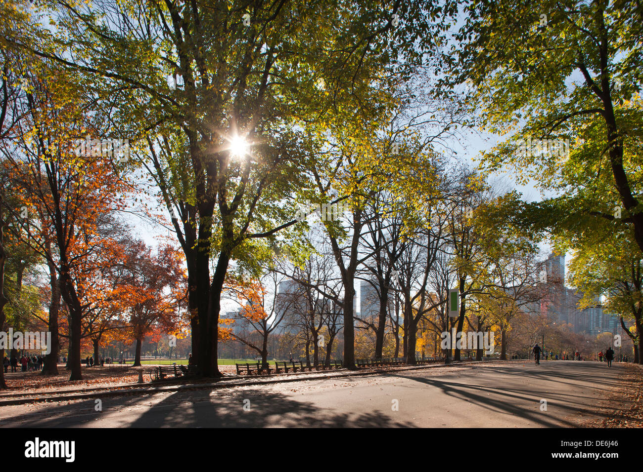 HERBST LAUB CENTRAL PARK WEST MANHATTAN NEW YORK CITY USA Stockfoto
