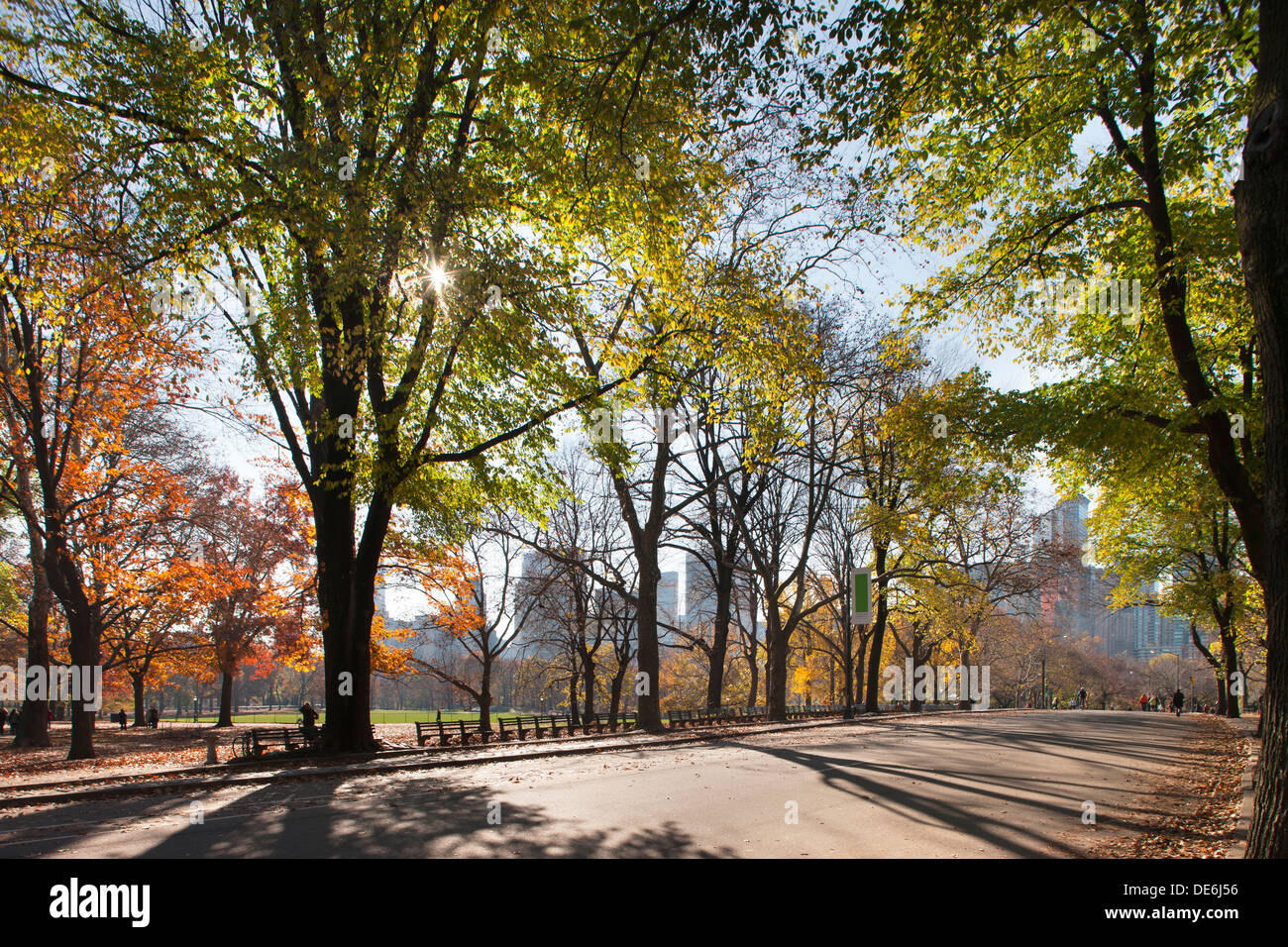 HERBST LAUB CENTRAL PARK WEST MANHATTAN NEW YORK CITY USA Stockfoto