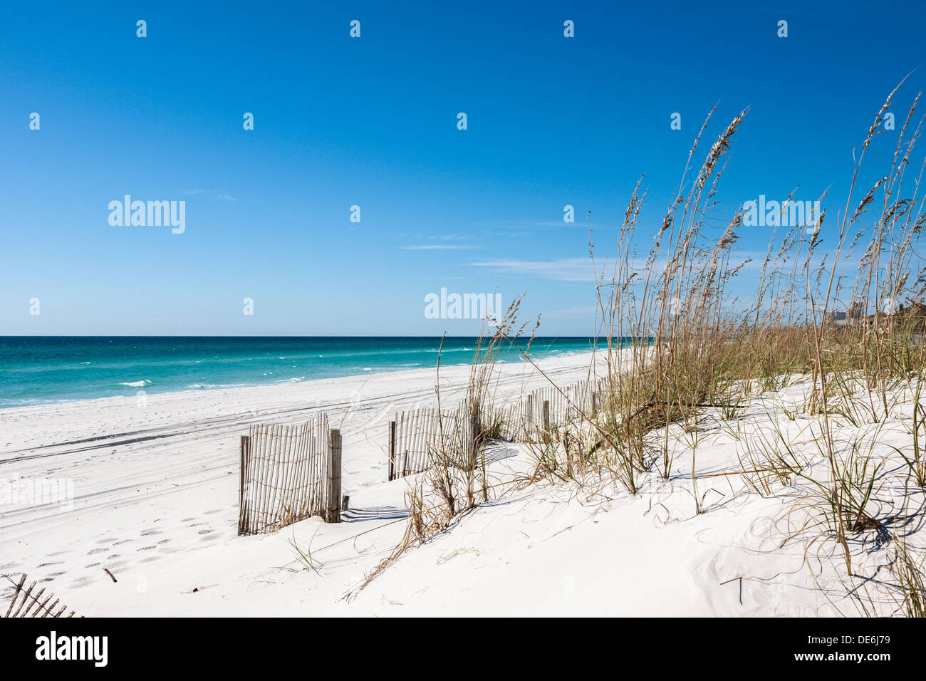 Erosion Kontrolle Fechten und Seegras schützen, die weißen Sandstränden von Gulf Breeze, Florida Stockfoto