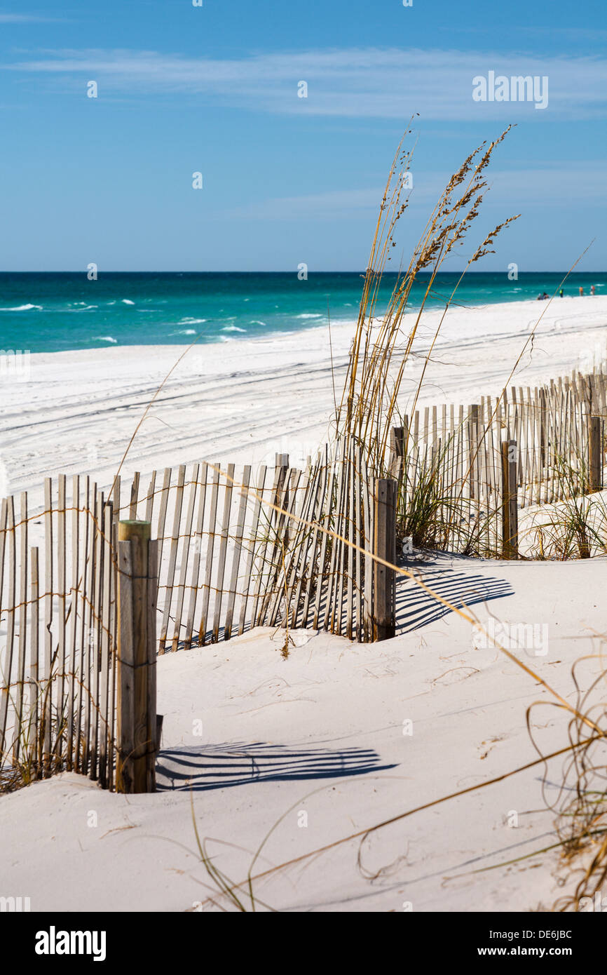 Erosion Kontrolle Fechten und Seegras schützen, die weißen Sandstränden von Gulf Breeze, Florida Stockfoto