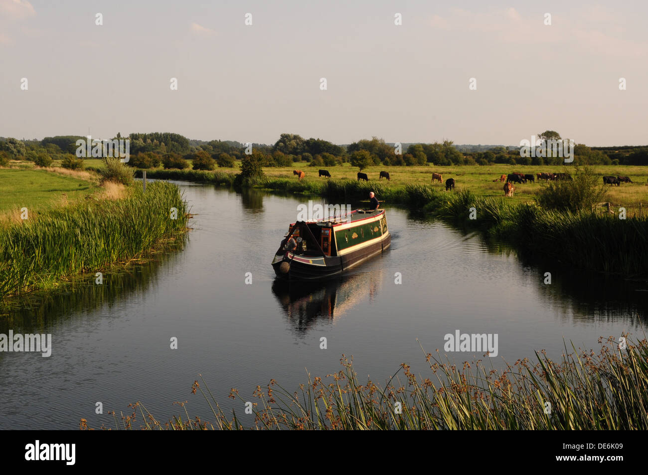 Nene-Fluss am Nassington, Northamptonshire Stockfoto