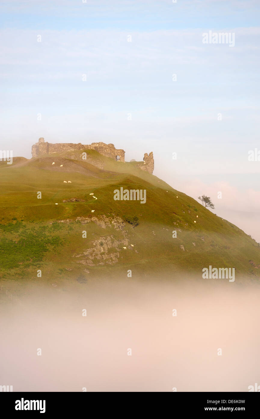 Castell Dinas Bran, Llangollen, Denbighshire, Wales. Auf einer Website Eisenzeit stammt der Steinburg aus 13 C. Sommer Morgennebel Stockfoto