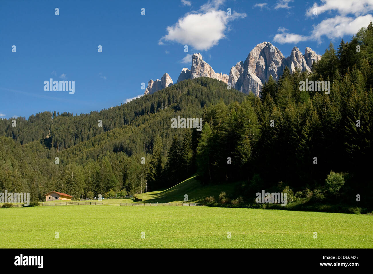 Wiese im Val di Funes-Tal (Val Villnoss) und der Geisler in den Dolomiten. Stockfoto