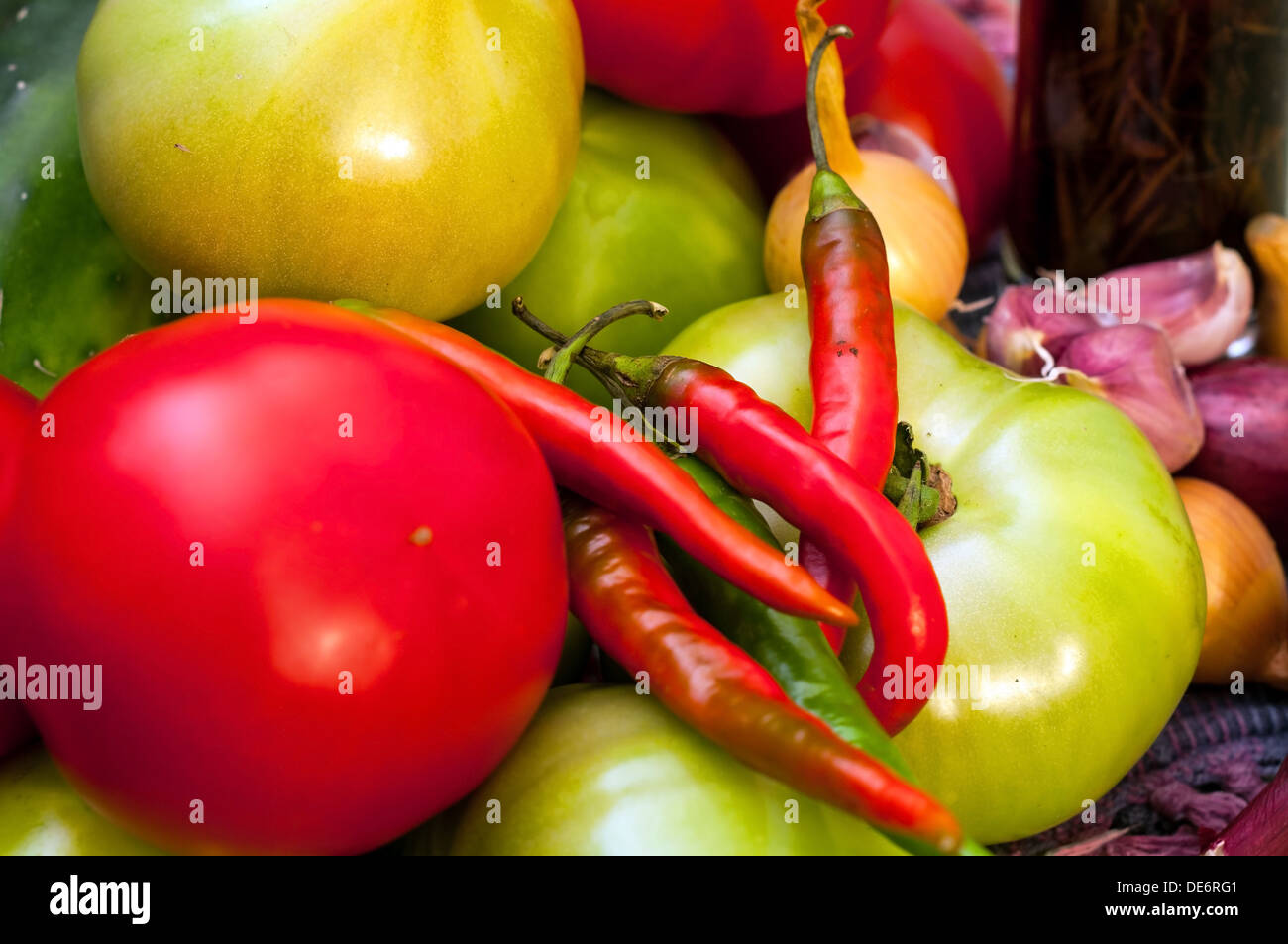Zutaten für Gurken mit Tomaten (rot und grün) Gurken, Knoblauch, Peperoni, Zwiebeln (rot und weiß) Stockfoto