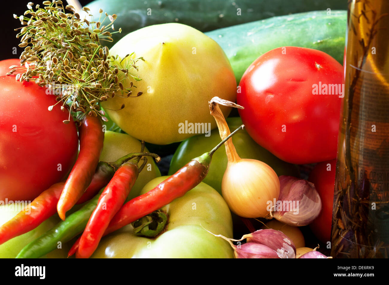Zutaten für eingelegtes Gemüse wie Tomaten (rot und grün) Gurken, Peperoni, Zwiebeln (rot und weiß), Knoblauch und dill Stockfoto