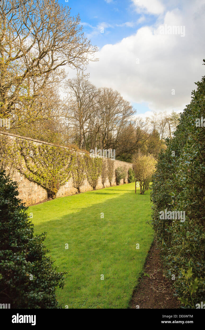 Espaliered Bäume im ummauerten Garten am Pittodrie in der Nähe von Monymusk in Aberdeenshire, Schottland. Stockfoto