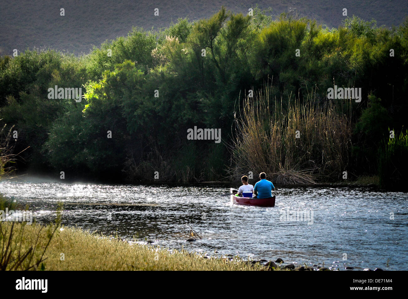 Vater und Sohn Rudersport am River in Arizona usa Stockfoto
