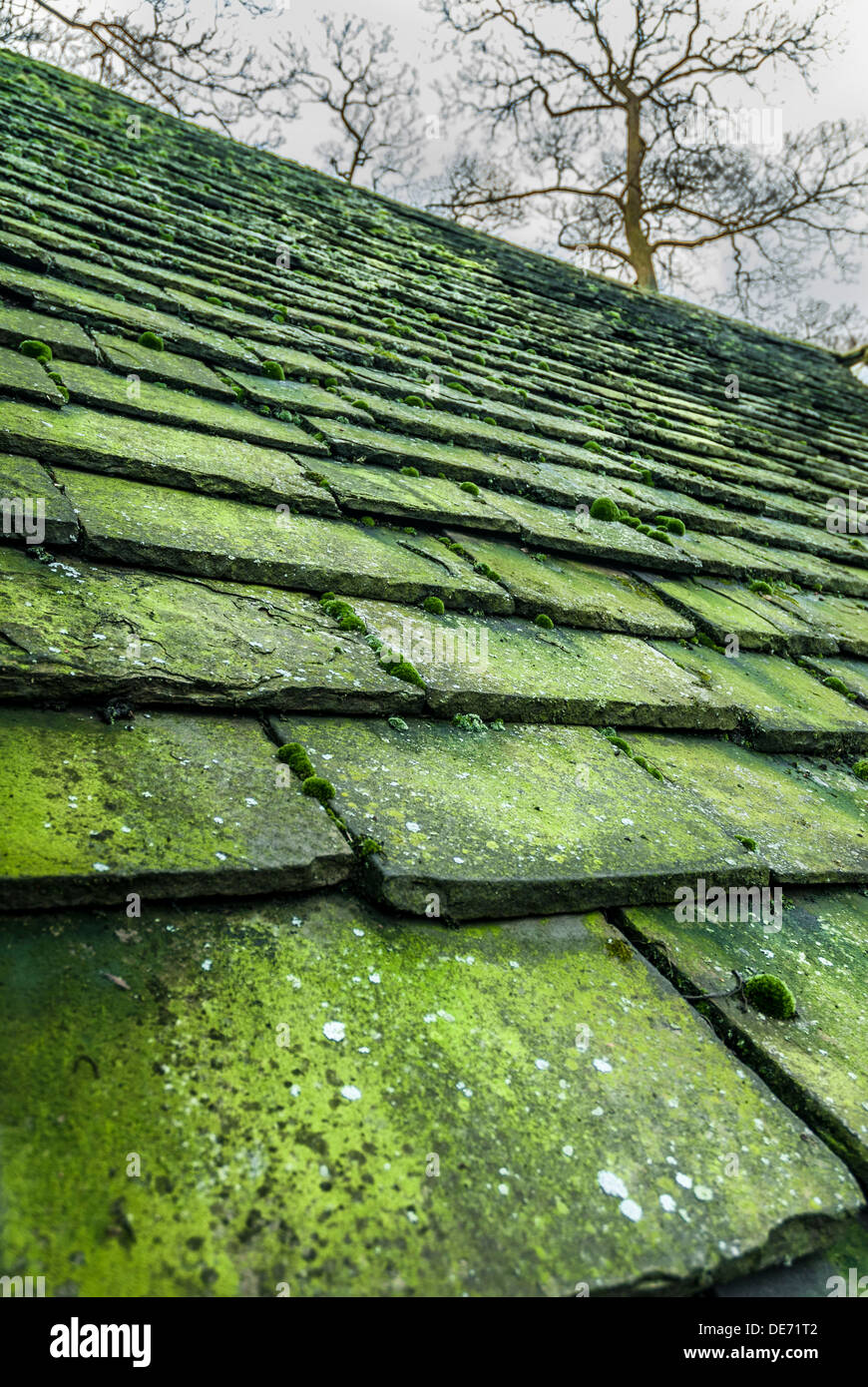 Alte steinerne Dachziegel abgedeckt im grünen Moos und Algen Stockfoto