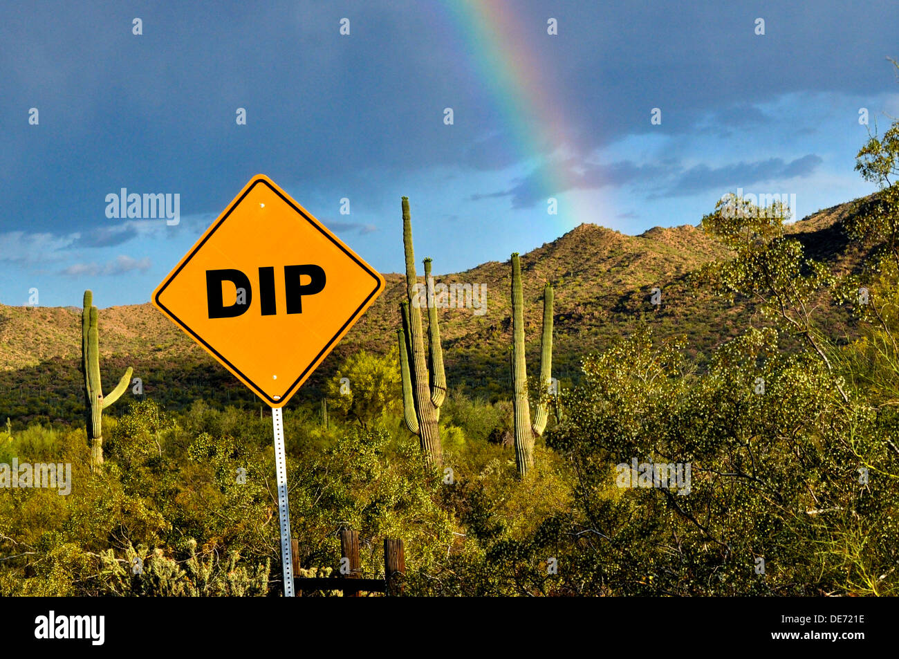 Wüste von Arizona Straßenschild mit Saguaro Kakteen und Regenbogen im Himmel Stockfoto