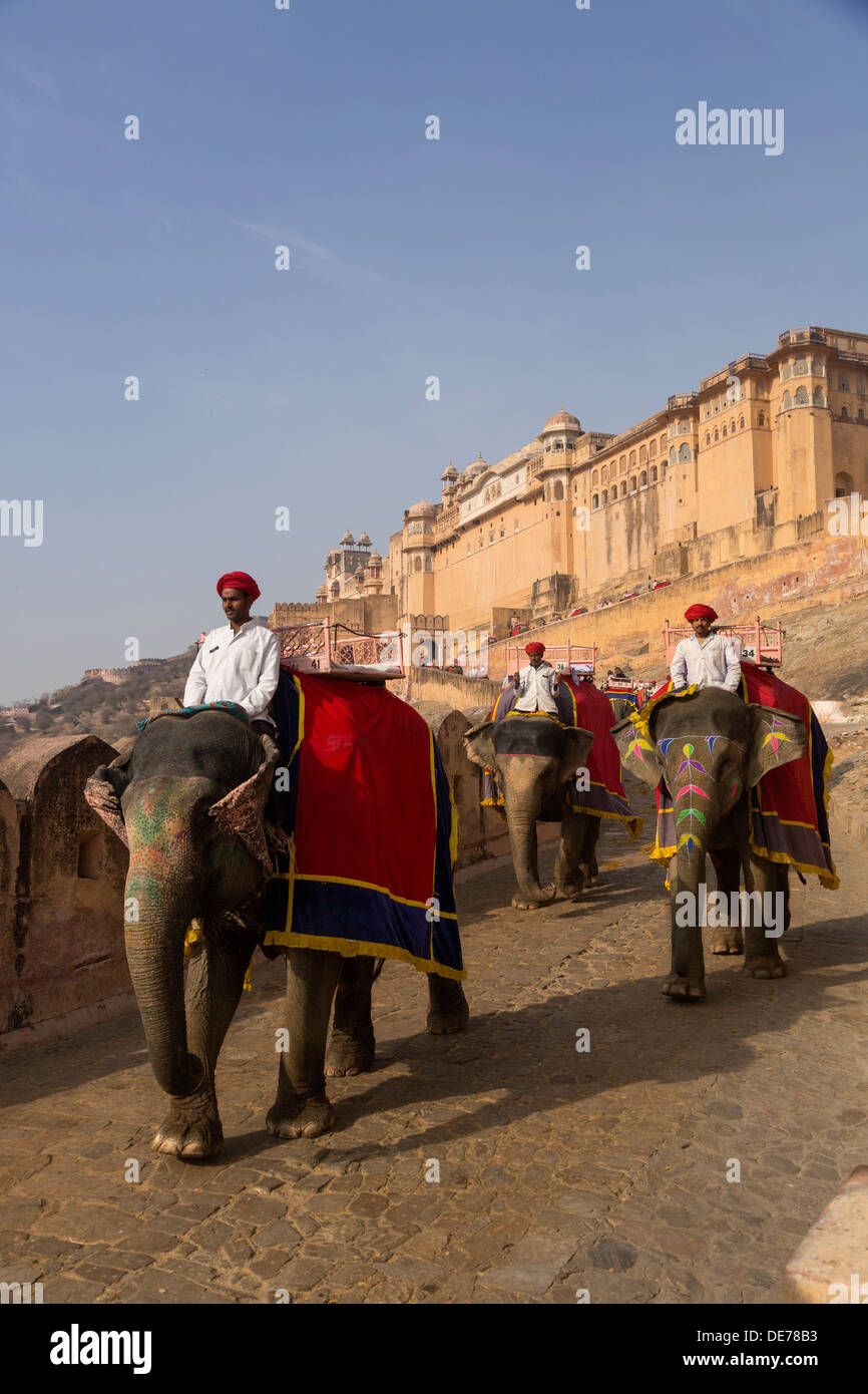 Indien, Rajasthan, Jaipur, Amber Palast Elefanten Stockfoto